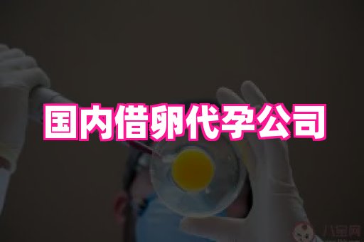 长沙助孕网 1